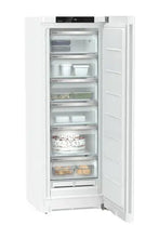 Load image into Gallery viewer, conglateur Armoire FNe5006-22